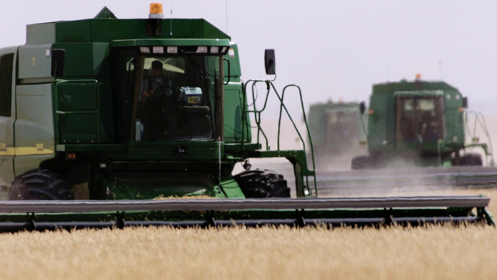 Harvesters work a wheat field