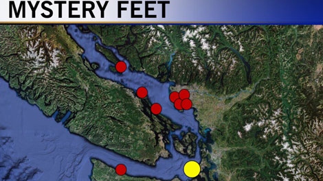 A map of locations where feet have washed up in the Pacific Northwest since 2007. The location of the most recent foot discovery on Whidbey Island in Washington State is shown in yellow. Aug. 27, 2010. (CTV)