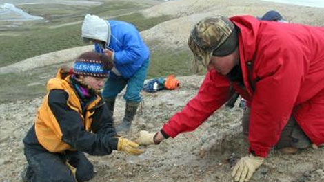 University of Colorado at Boulder Associate Professor Jaelyn Eberle, left, has spent several field seasons searching for early fossils in the High Arctic of Ellesmere Island with team members from the United States and Canada. (Credit: University of Colorado)
