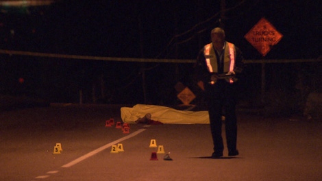 A male pedestrian was killed in a hit and run accident in Surrey, B.C. Sept. 4, 2010. (CTV)