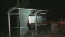 This bus shelter on Morningside Avenue was one of several that was smashed during a vandalism spree early Tuesday, Sept. 4, 2012.