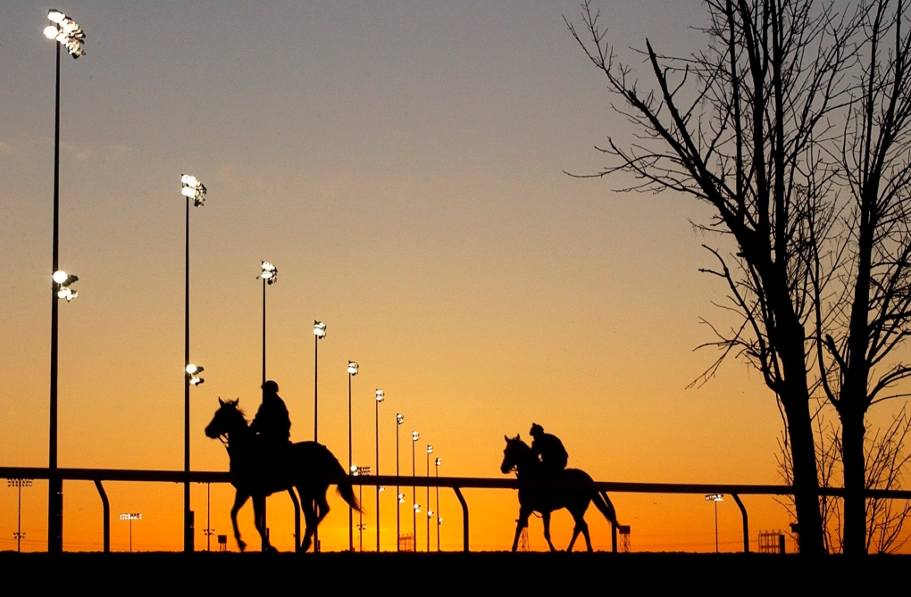 Horses, riders, sunrise, silhouette, Woodbine Racetrack
