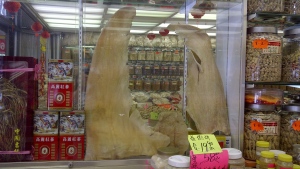 Vancouver City Councillor Kerry Jang is pushing for a ban on shark fin products. Sept. 18. 2012. (CTV)