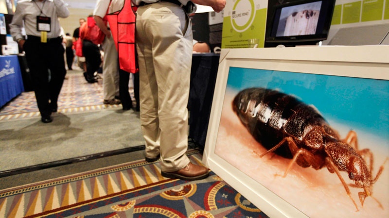 Attendees visit vendor booths during the first North American Bed Bug Summit in Rosemont, Ill., Tuesday, Sept. 21, 2010. (AP / M. Spencer Green)