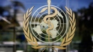 The logo of the World Health Organization is seen at the WHO headquarters in Geneva, Switzerland, Thursday, June 11, 2009.  (AP / Anja Niedringhaus)