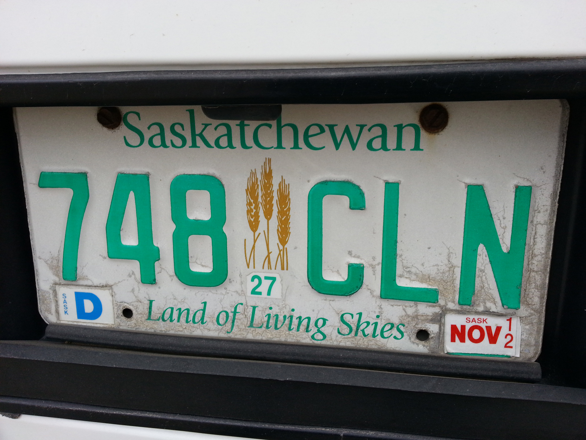 where to buy stickers for license plates