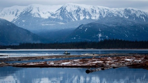 A worker uses a small boat to move logs on the Douglas Channel at dusk in Kitimat, B.C., on January 11, 2012. Enbridge Inc.'s response plan for a potential spill of Northern Gateway oil into the pristine waters off British Columbia doesn't take into account the unique oil mixture the pipeline would actually carry, documents show. THE CANADIAN PRESS/Darryl Dyck