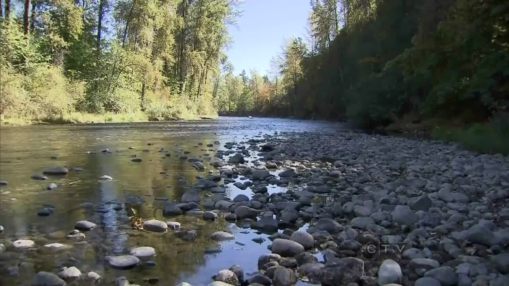 CTV BC: Cowichan River drying up