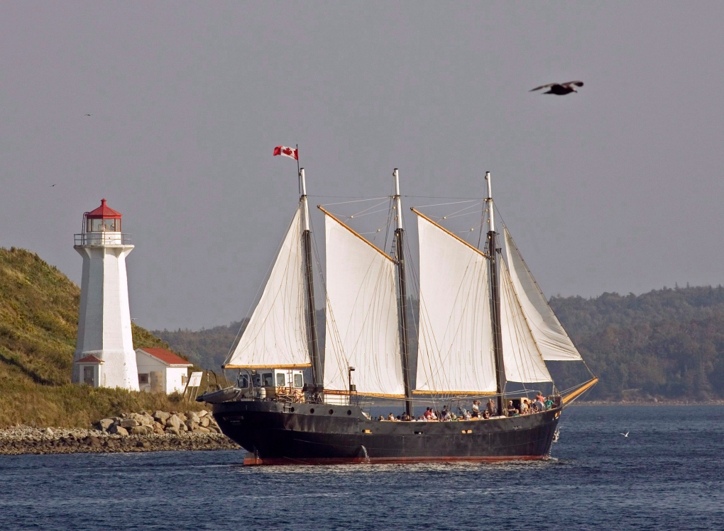 Tall ship Silva in Halifax harbour