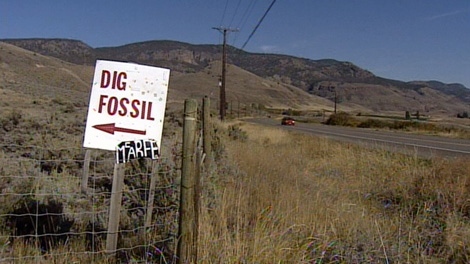 A sign points to the McAbee Fossil Beds near Cache Creek, B.C. Oct. 7, 2010. (CTV)