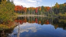 A pond in Gatineau Park, not far from Pink Lake, with autumn's colours in the background and reflected in the water. (Viewer photos submitted by: Paul Page)