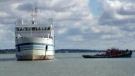 A tugboat works to free the Pelee Island ferry in Lake Erie near Kingsville, Ont. on Friday, Oct. 12, 2012. (Sacha Long / CTV Windsor)