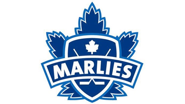 Marlies pledge to fight homophobia in sports
