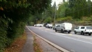 Police are investigating a fatal crash on East Road in Anmore, B.C. on Oct. 17, 2012. (CTV)