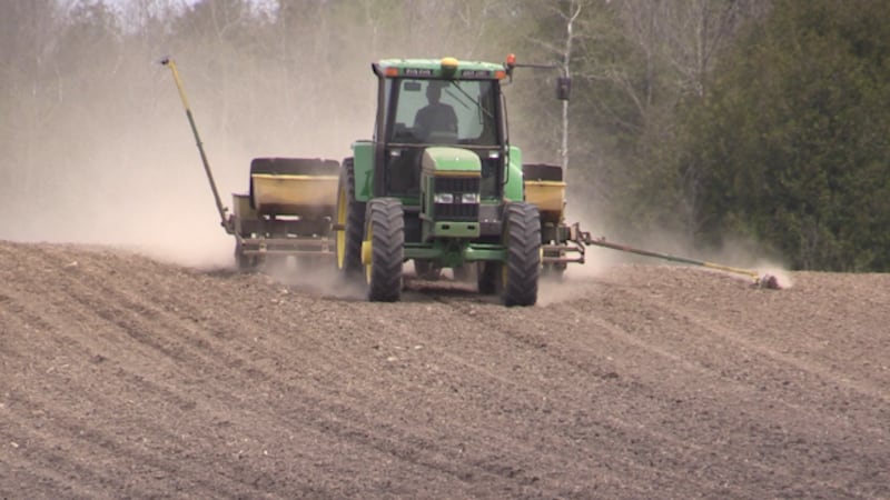 Canadian farmers brace for ‘most expensive planting season ever’