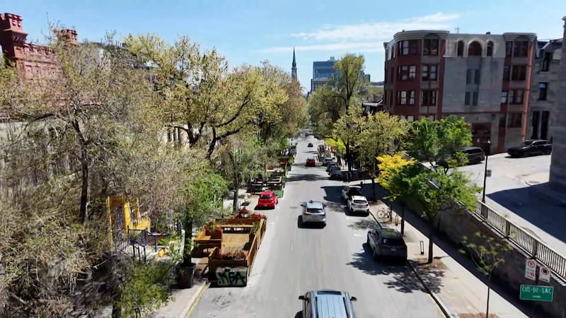Saint-Denis Street is losing its car-free status this summer