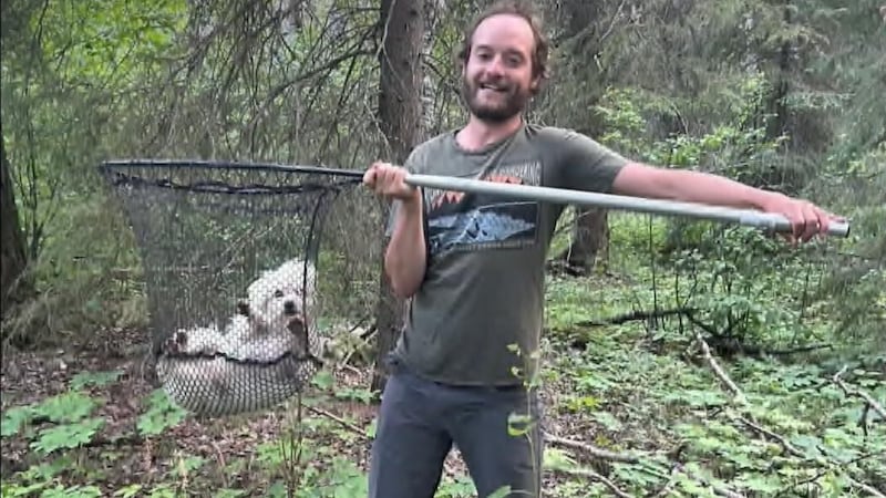Dog found safe following wilderness rescue in Prince Albert National Park