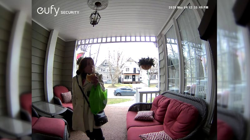 Regina police seek suspect in Retallack Street parcel theft: Crime Stoppers