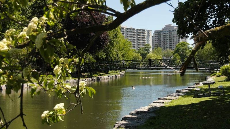 Sunday marks the first day of summer, so what can we expect this season?