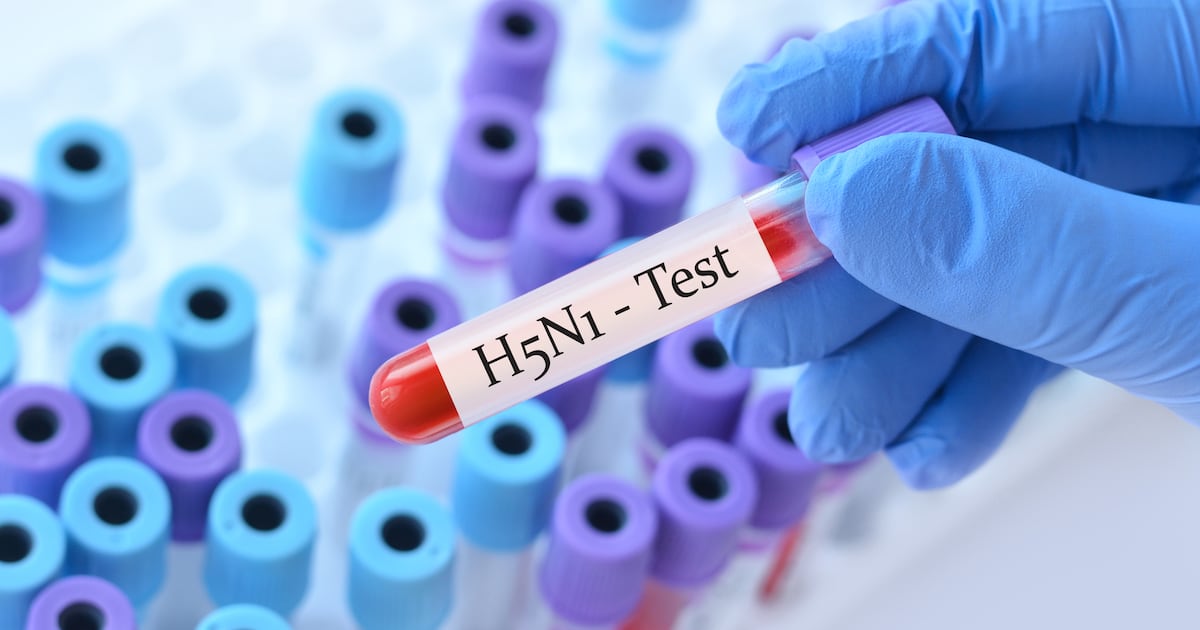 Photo: ctvnews.ca Doctor holding a test blood sample tube with H5N1 influenza virus test on the background of medical test tubes with
