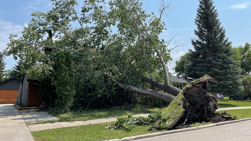 A look at the aftermath of the storm that hit southern Manitoba