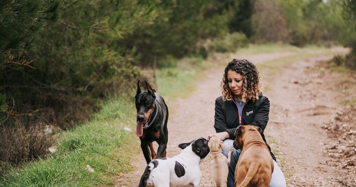 Residents used rat poison to deter dogs from peeing on their property