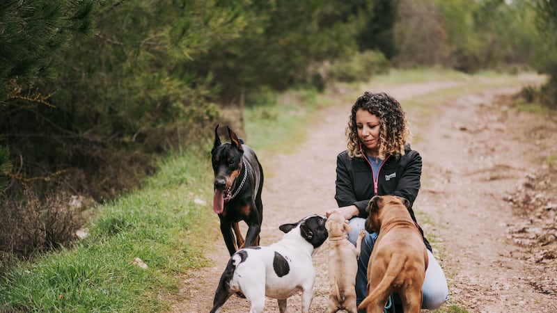 Residents used rat poison to deter dogs from peeing on their property