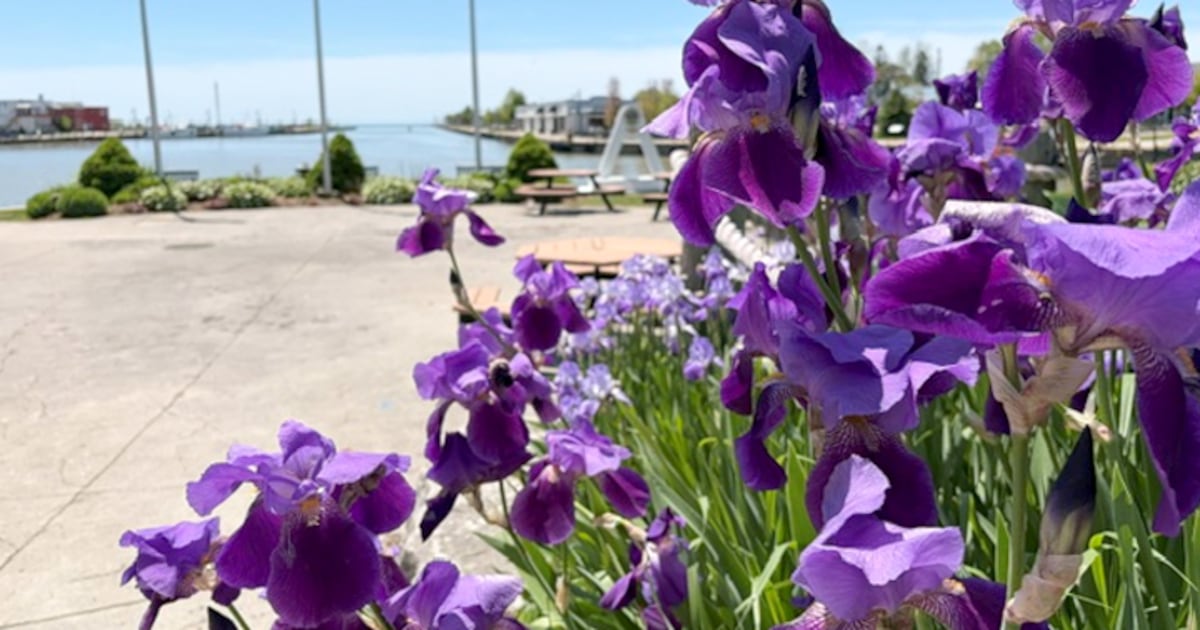 Hot and sunny weather dominate the forecast