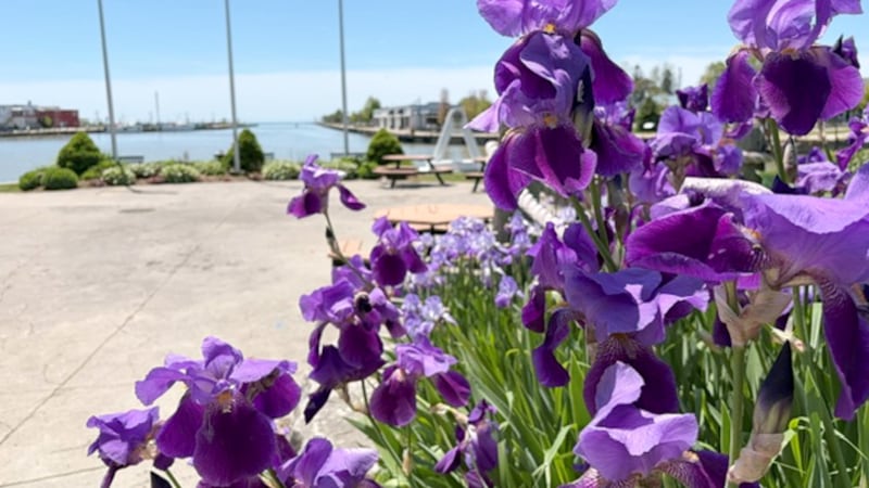 Hot and sunny weather dominate the forecast