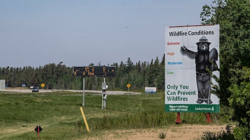More than 60 wildfires active in Saskatchewan: SPSA