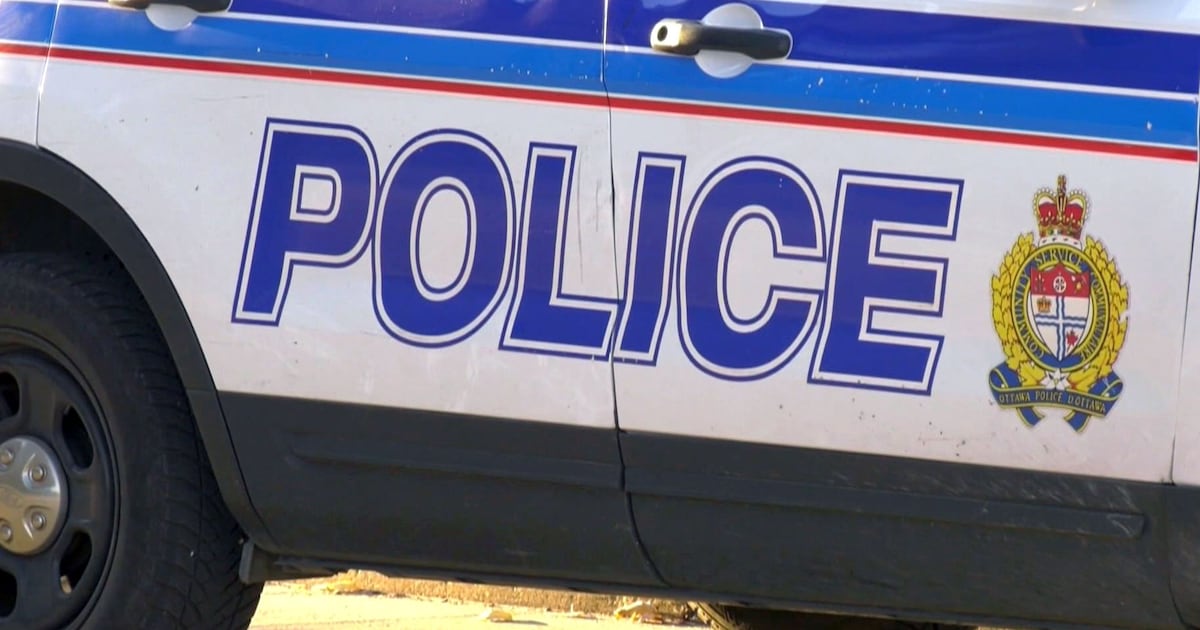 Ottawa police say after-hours business in industrial park had numerous life-safety violations - CTV News