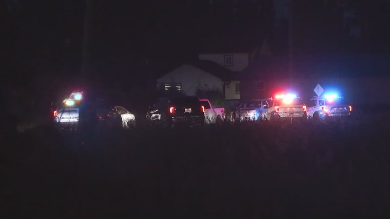 1 arrested after ‘family disturbance’ that caused Surrey road closure Friday night: SPS