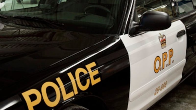 Guelph resident charged in collision with hydro pole