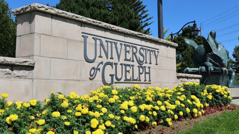 University of Guelph launching new degree focused on human-centred artificial intelligence