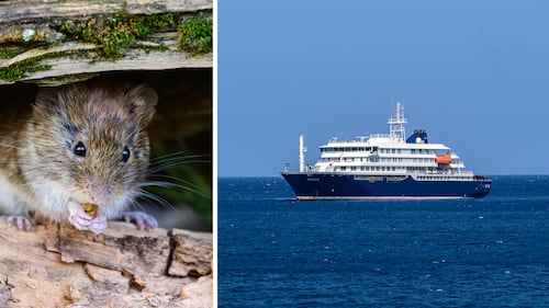 What to know about the illness suspected of killing multiple people on a cruise ship