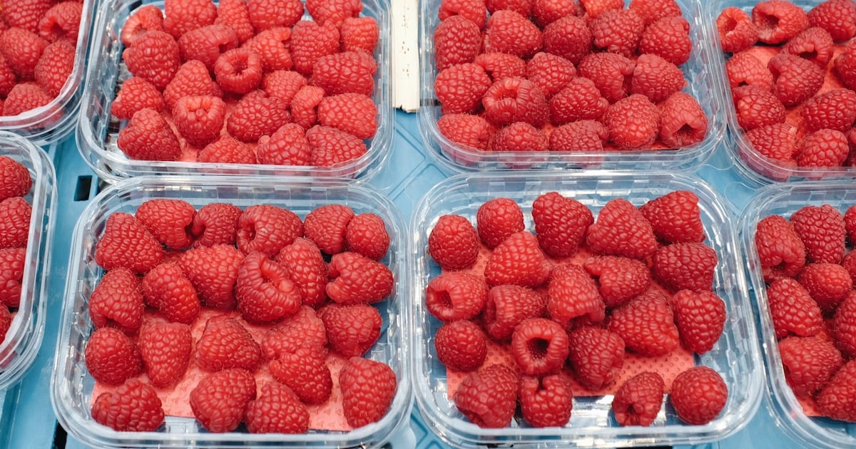 World’s largest berry distributor faces class-action lawsuit in Quebec