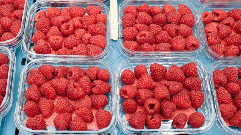 Quebec class action alleges Driscoll’s berries exceeded Canadian chemical limits