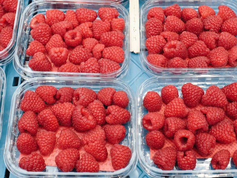 World’s largest berry distributor faces class-action lawsuit in Quebec