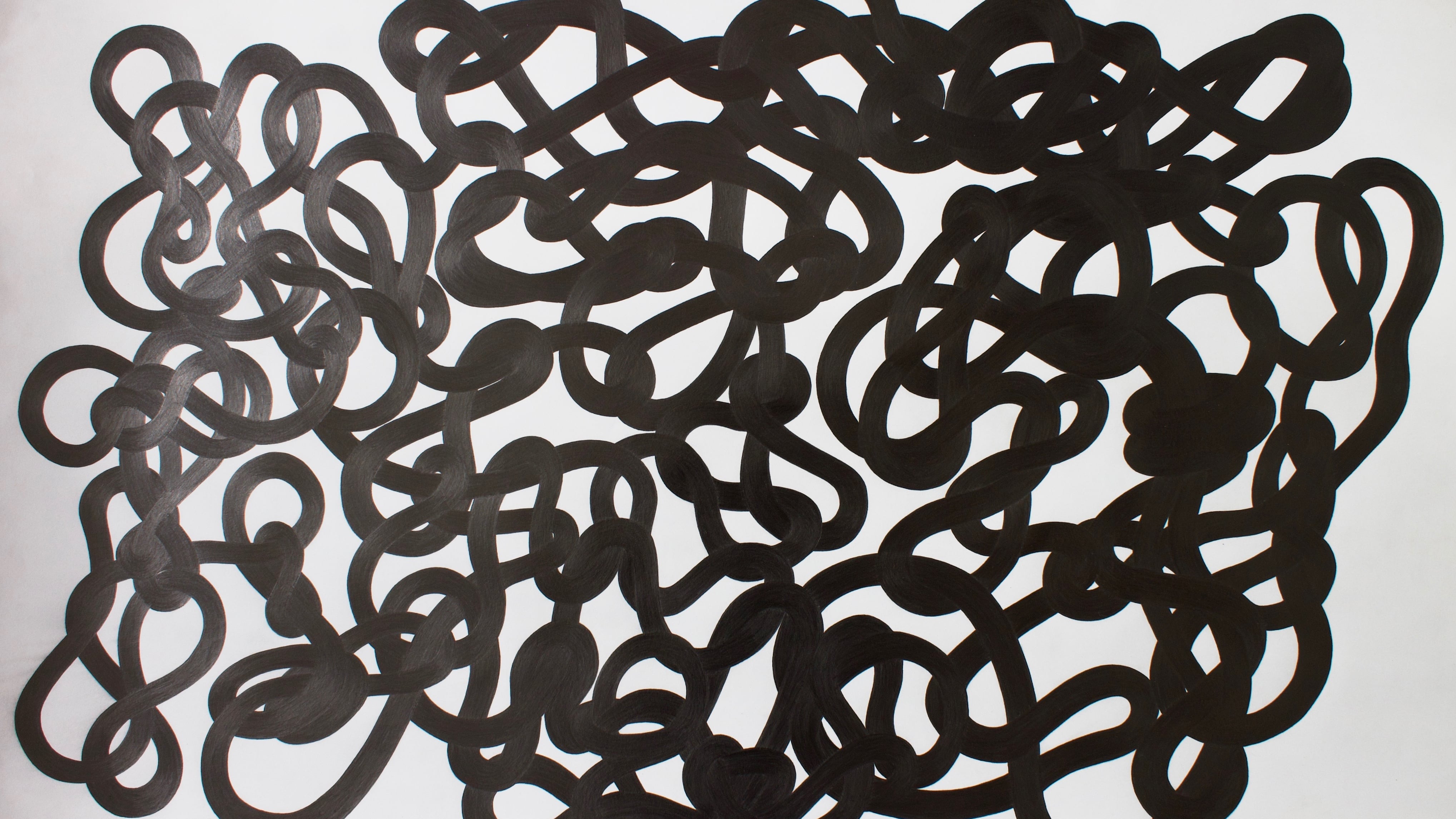 Art Gallery of St. Albert unveils new exhibition Zana Wensel's Knotty Enigmas. (Supplied)