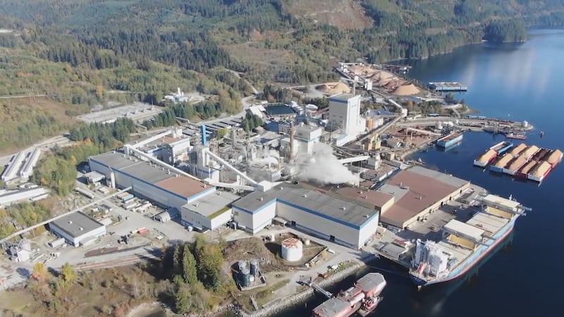 ‘Melting pot of disaster’: Heartache and fear as pulp mill closure rocks B.C.’s Sunshine Coast