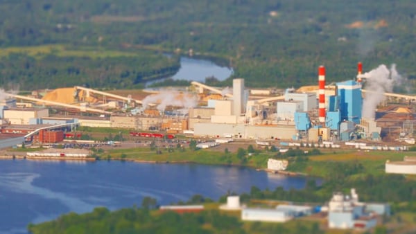 Thunder Bay mill to end production of newsprint