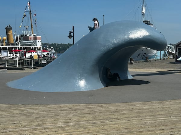 Hottest day of the year so far expected Wednesday in Maritimes