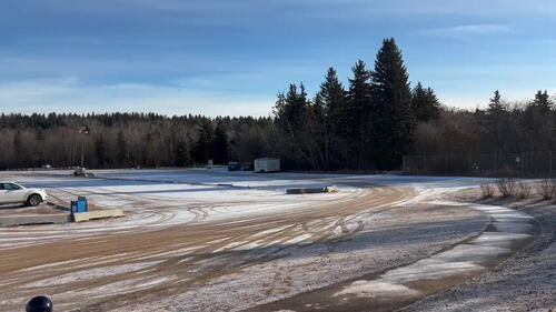 The Edmonton Valley Zoo announced a plan for the next 15 years. Nov. 24, 2025. (Sasha Pietramala/CTV News Edmonton)