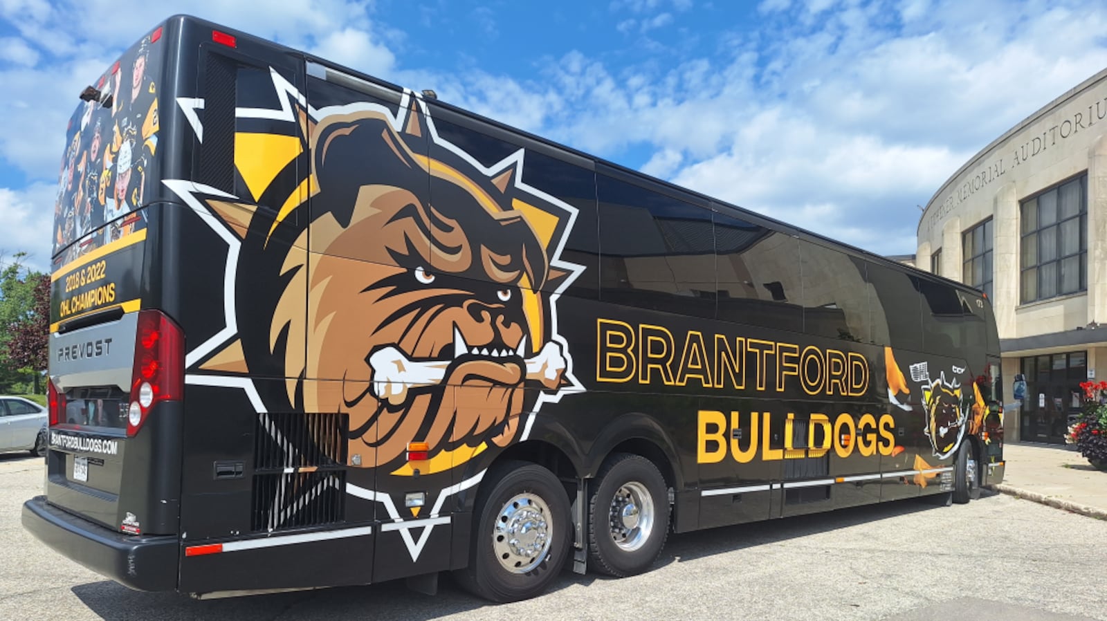 Brantford Bulldogs name new director of goaltending, has ties to ...