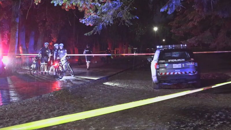 Toronto police search for group of suspects in Woodbine Beach stabbing