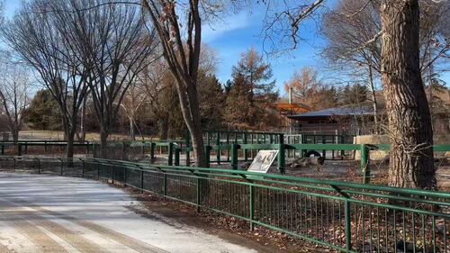 The Edmonton Valley Zoo announced a plan for the next 15 years. Nov. 24, 2025. (Sasha Pietramala/CTV News Edmonton)