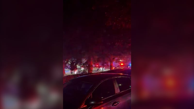 ‘A scene of chaos out here’: Police investigate shooting near Waterloo’s university district, man sent to hospital