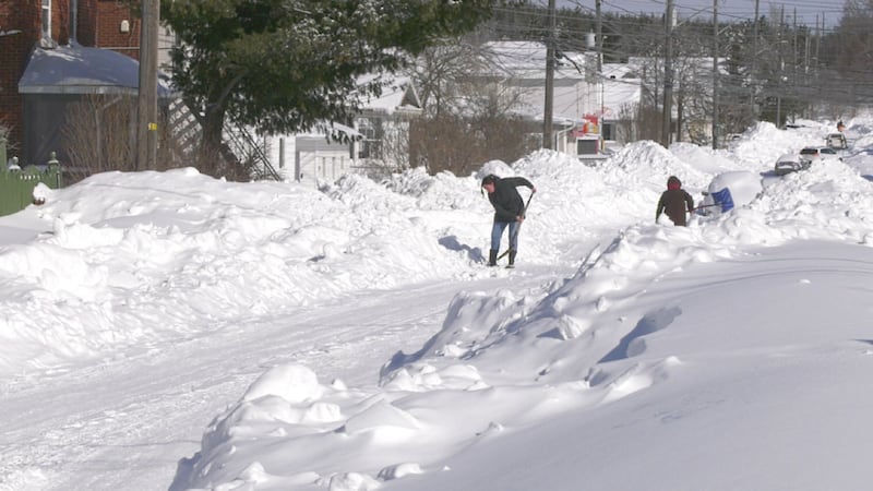 Late winter storm cost the city $7.8M, report says