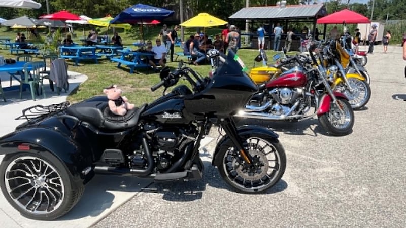 Annual Windsor bike show fuels support for 5 Windsor-Essex food banks