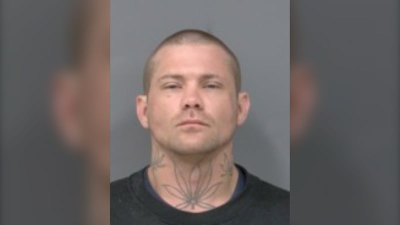 Mississauga man charged after 71 vehicle break-ins